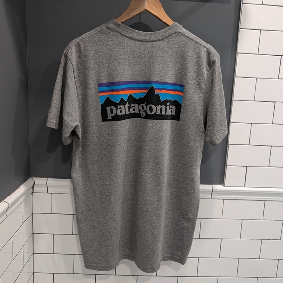 Patagonia Logo Tee - Picture 1 of 3